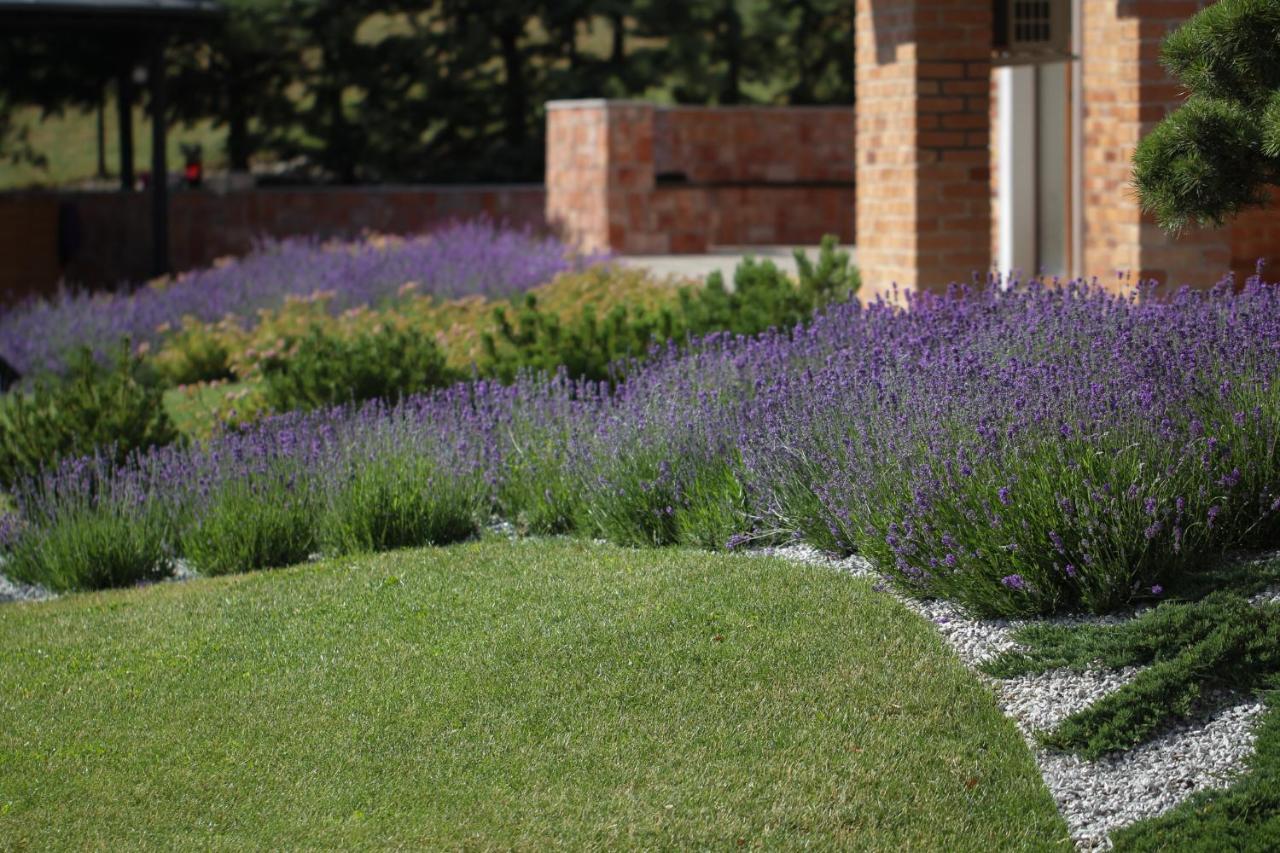 Lavender Inn Guest House Viesvenai Exterior photo